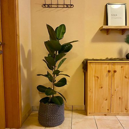 Appartement Auwald 포르슈타우 외부 사진