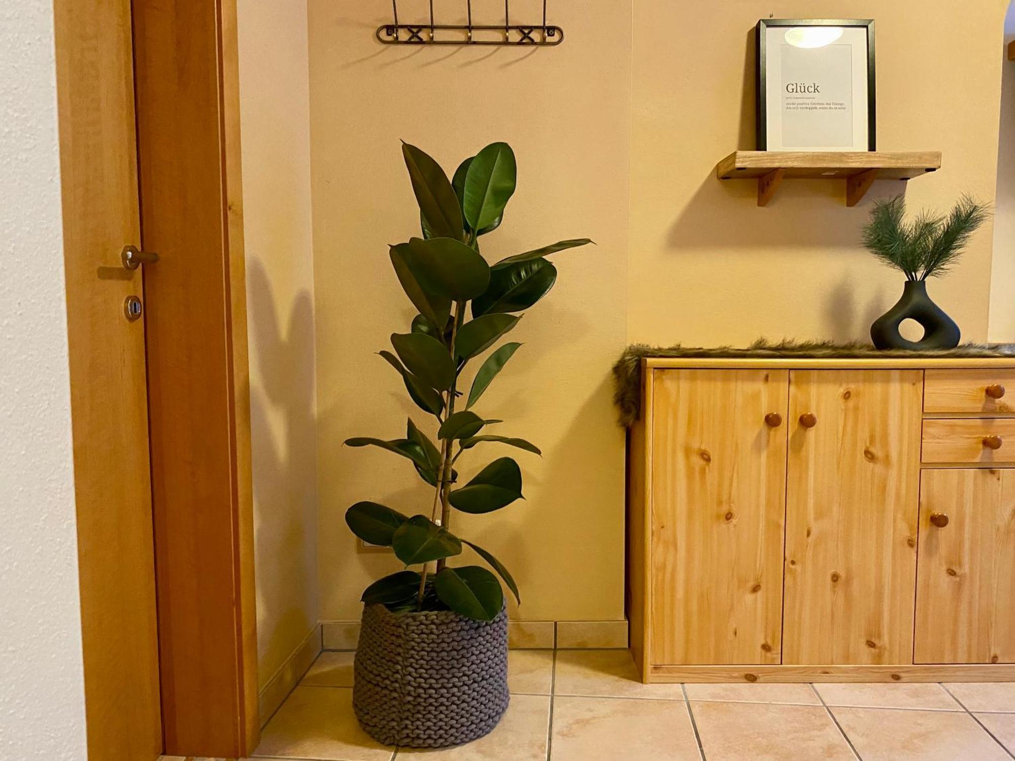 Appartement Auwald 포르슈타우 외부 사진